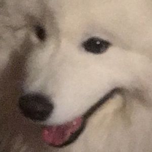 Meet your Posher, Morgan